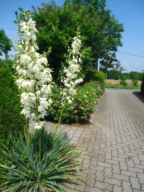 Das Fritz Hotel Schwerin Schoene Lage Im Gruenen Mit Regionaler Kueche Kostenfreien Parkplaetzen Und E Ladestation Zewnętrze zdjęcie